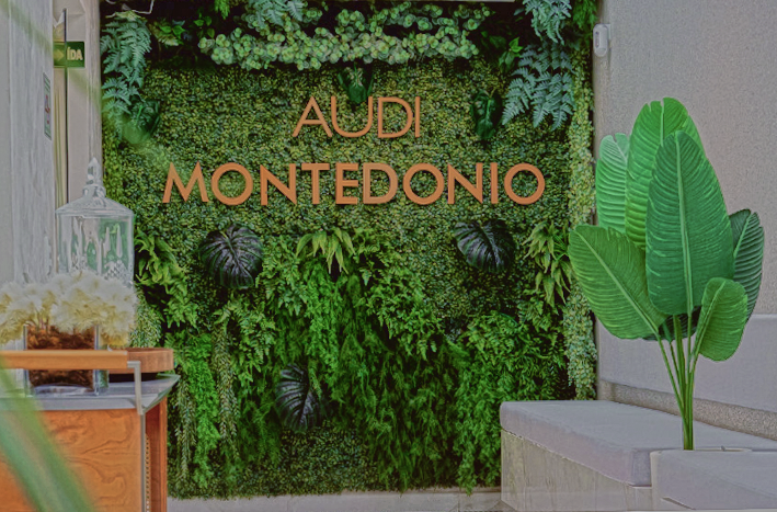 Clinica de cirurgia plastica AudiMontedonio em Santos - ambiente moderno